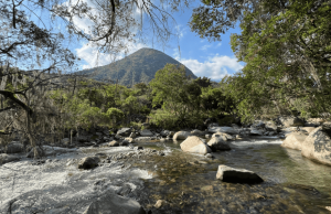 Así conservan los indígenas ‘Guardianes del río Guatapurí’ la biodiversidad