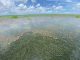 ¿Qué está pasando con la Hydrilla en la Ciénaga Grande de Santa Marta?