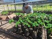 Bancos de Hábitat, un modelo de conservación y reactivación ecológica