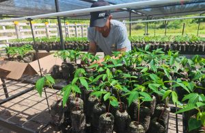 Bancos de Hábitat, un modelo de conservación y reactivación ecológica