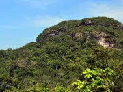 Más de 700 registros biológicos revelan la riqueza natural del Guaviare y el sur del Meta en expedición científica