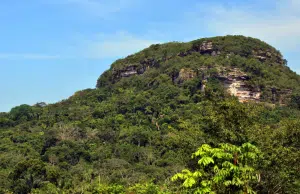 Más de 700 registros biológicos revelan la riqueza natural del Guaviare y el sur del Meta en expedición científica