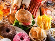 Dietas altas en grasa empujan a las células del hígado a un estado inmaduro que aumenta el riesgo de cáncer, revela estudio del MIT