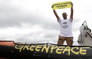 Estos son los principales avances ambientales registrados durante 2025 según Greenpeace