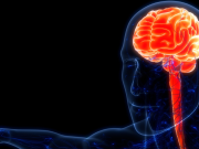 Consumo excesivo de bebidas energéticas podría elevar el riesgo de accidente cerebrovascular, advierten médicos tras caso de hipertensión extrema