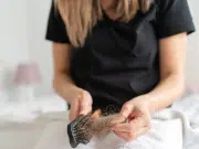 Aceite de romero para el crecimiento del cabello: lo que la evidencia científica ha comprobado y lo que es mito