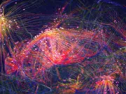 Identifican a las células encargadas de la salud mental, el comportamiento y la memoria en el cerebro: así las cuida