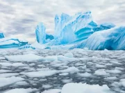 Experiencia en la Antártida: un viaje en el buque histórico y científico ARC Simón Bolívar para ir al corazón de los glaciares