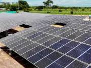 La revista Science elige el auge de la energía renovable como el avance científico del año 2025