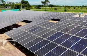 La revista Science elige el auge de la energía renovable como el avance científico del año 2025