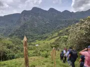 Gobierno somete a consulta resolución que redefine usos en reservas forestales con enfoque campesino y de conservación