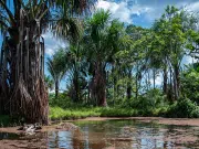 Minambiente abre convocatoria de regalías por 423.000 millones para financiar proyectos ambientales en todo el país