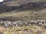 No todos los Parques Naturales de Colombia son para visitar: alertan por el impacto del turismo no regulado en áreas protegidas