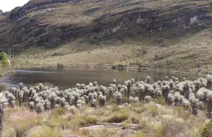 No todos los Parques Naturales de Colombia son para visitar: alertan por el impacto del turismo no regulado en áreas protegidas