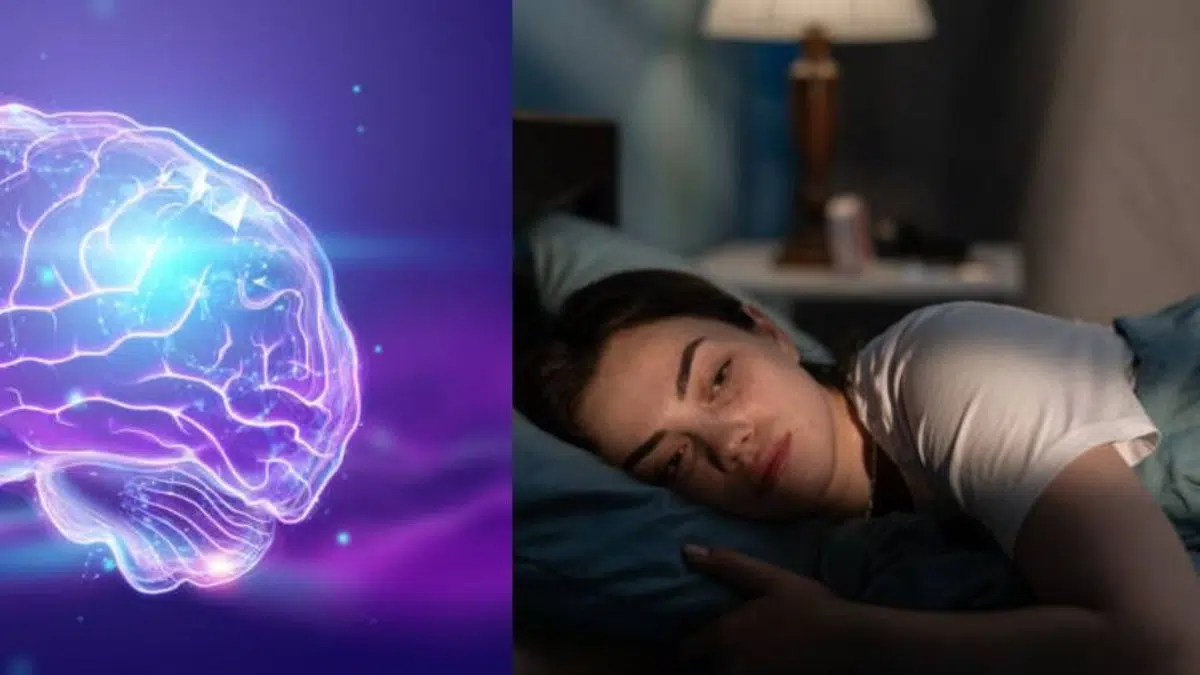 Hallan por primera vez un gen que conecta directamente con grave enfermedad mental
