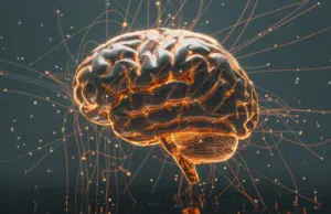 Científicos encuentran el interruptor cerebral que crea los hábitos y adicciones