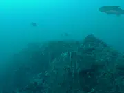 Científicos sorprendidos: se desmonta teoría sobre cómo se forman los cañones submarinos