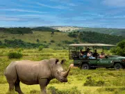 Guía práctica para un viaje de lujo en Sudáfrica: dónde hospedarse y qué actividades hacer