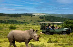 Guía práctica para un viaje de lujo en Sudáfrica: dónde hospedarse y qué actividades hacer