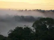Un nuevo ‘clima hipertropical’ amenaza a la Amazonia con sequías más largas, calor extremo y mayor mortalidad de árboles