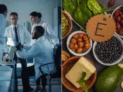 Científicos descubren un compuesto que multiplica por tres la cantidad de la vitamina E en los vegetales