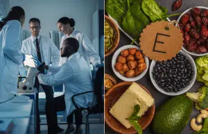 Científicos descubren un compuesto que multiplica por tres la cantidad de la vitamina E en los vegetales
