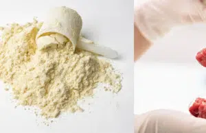 China crea proteína 1.000 veces más eficiente que la carne, sin colesterol y sin impacto ambiental de la ganadería