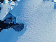 Agenda Científica Antártica 2025–2035: Colombia define las prioridades que guiarán su investigación en el continente blanco