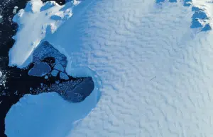 Agenda Científica Antártica 2025–2035: Colombia define las prioridades que guiarán su investigación en el continente blanco