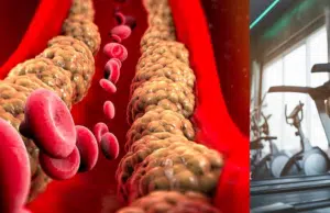 Los ejercicios más eficientes para bajar el colesterol, según la Clínica Mayo