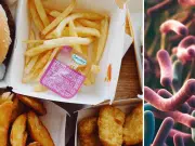 Científicos descubren que los alimentos ultraprocesados podrían alterar el ADN de las bacterias intestinales