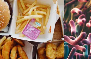 Científicos descubren que los alimentos ultraprocesados podrían alterar el ADN de las bacterias intestinales