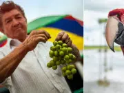 Colombia se prepara para cerrar el 2025 con más de 21,7 millones de viajeros: así avanza la apuesta por destinos competitivos