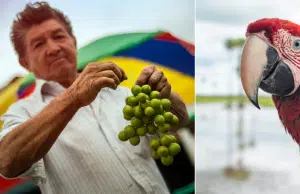 Colombia se prepara para cerrar el 2025 con más de 21,7 millones de viajeros: así avanza la apuesta por destinos competitivos