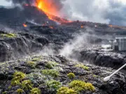 Microbios desafían lo imposible: científicos descubren vida que coloniza la lava horas después de solidificarse
