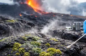 Microbios desafían lo imposible: científicos descubren vida que coloniza la lava horas después de solidificarse