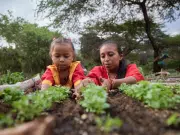 Producción sostenible transforma la navidad en las comunidades rurales de Colombia