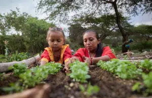 Producción sostenible transforma la navidad en las comunidades rurales de Colombia