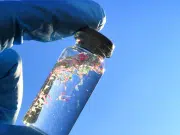 La luz solar transforma microplásticos en contaminación disuelta que altera la química y el carbono de los ecosistemas acuáticos
