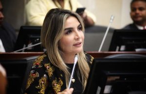 Conservadores deberán elegir nuevo presidente tras renuncia de Nadia Blel
