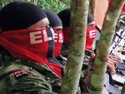 Cese al fuego unilateral del Eln en Navidad: fechas y condiciones