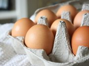 Se abrió el mercado de Estados Unidos a los huevos colombianos