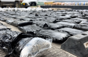 Incautan media tonelada de marihuana oculta en vehículo en Kennedy