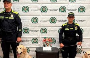Incautan tres kilos de cocaína que provenia de Pasto con destino a España