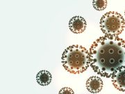 Influenza A/H3N2: qué es y principales recomendaciones