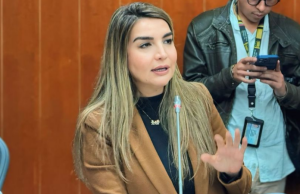 Nadia Blel renunció a la presidencia del Partido Conservador