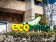 NG Energy o sus filiales han tenido negocios con Ecopetrol: Serafino Iacono