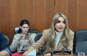 ¿Quién tomará las riendas del Partido Conservador tras la renuncia de Blel?