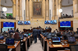 Siga la plenaria extraordinaria de control político desde el Senado
