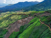 Con drones, Colombia fumigará narcocultivos con glifosato esta semana